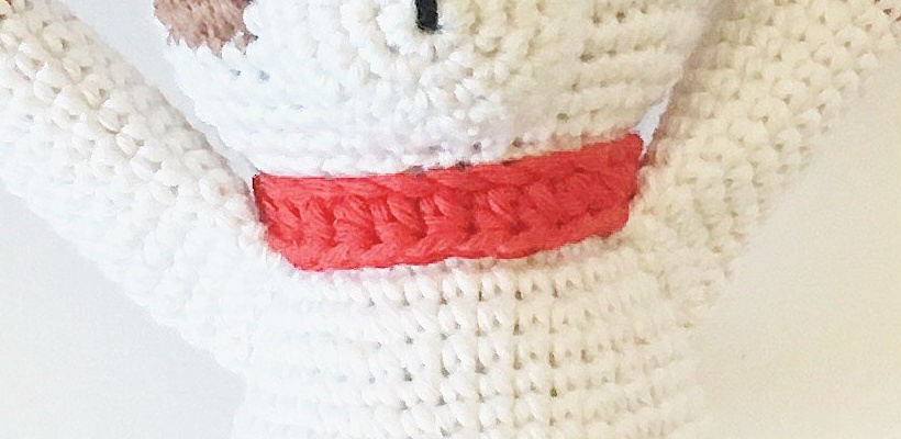 Macro detail of red crochet puppy collar with gold buckle